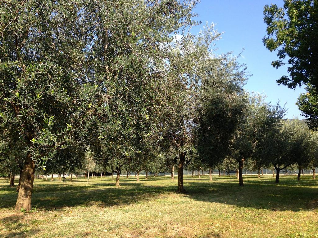 Agriturismo Corte Moranda Βερόνα Εξωτερικό φωτογραφία