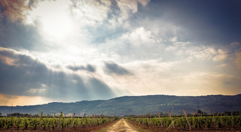 Agriturismo Corte Moranda Βερόνα Εξωτερικό φωτογραφία